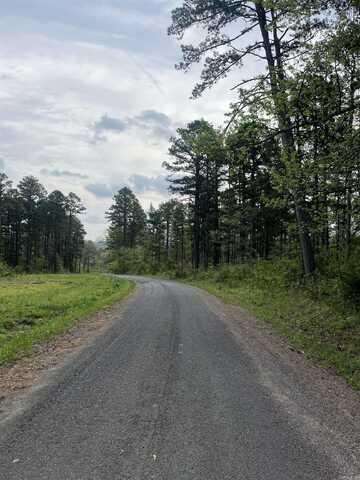 Clinton Lynch Rd Lot#1, Clinton, AR 72013