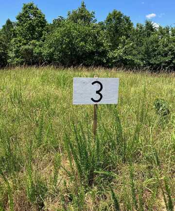 TBD Tract 3 Thompson Creek Lane, Mena, AR 71953