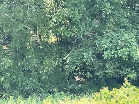 891 hwy 5 Highway, Rose Bud, AR 72137