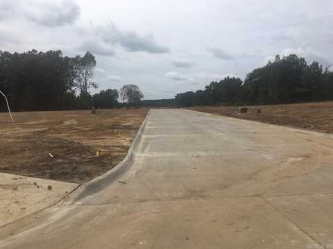 21 Ridge View Cove, Vilonia, AR 72173