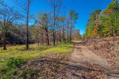 00 Brush Mountain Trail, Paron, AR 72122