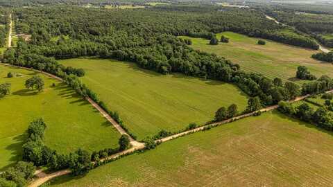 2- 12 ac Tracts 761 Road, Paragould, AR 72450