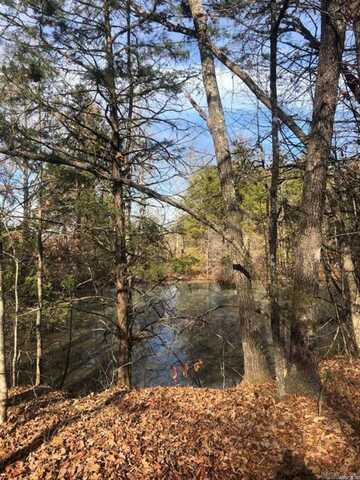 000 Wildhaven Road, Mountain View, AR 72560