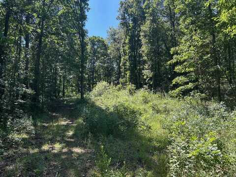 Timber Grove Road, Clinton, AR 72031