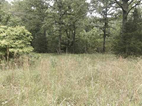Tracts 1,2,3,4 Sherwood Hills Drive, Mountain Home, AR 72653