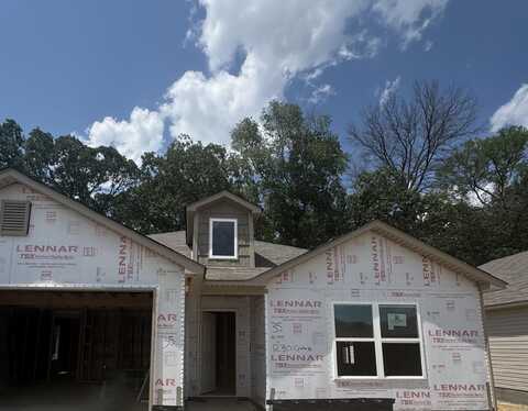 1230 Crotale Street, Conway, AR 72034