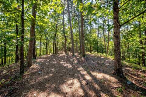 0 Burlingame Road, Little Rock, AR 72223