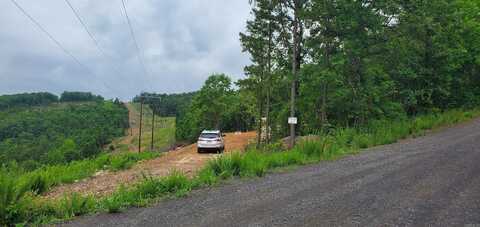 2556 Oakland Road, Clinton, AR 72031