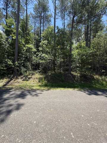 68 Manzanares Drive, Hot Springs Village, AR 71909