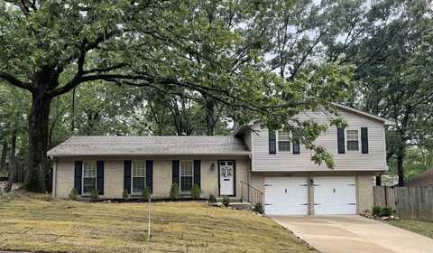 8223 Leatrice Drive, Little Rock, AR 72227