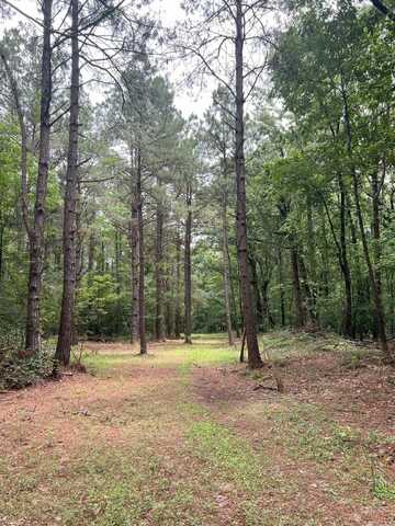 undefined, Star City, AR 71667