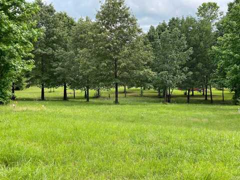Ridge CR, Quitman, AR 72131