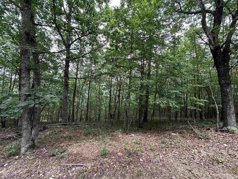 TBD Timber Ln, Mena, AR 71953