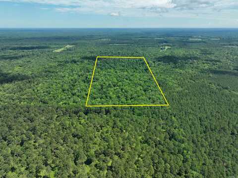 undefined, Wilmar, AR 71645