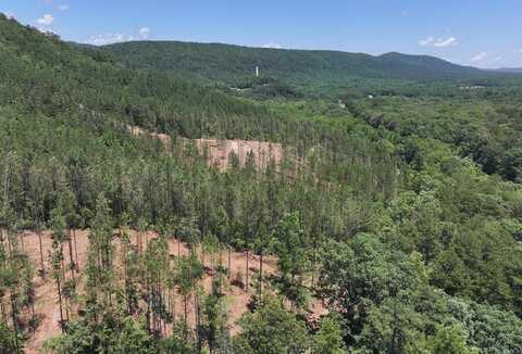 XXX Palmer Mountain Road, Caddo Gap, AR 71935