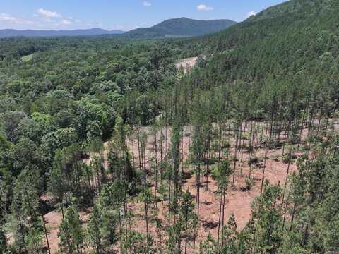 XXX Palmer Mountain Road, Caddo Gap, AR 71935