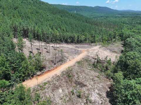 XXX Palmer Mountain Road, Caddo Gap, AR 71935