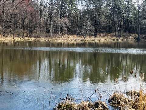 816 WINROCK DRIVE, Morrilton, AR 72110