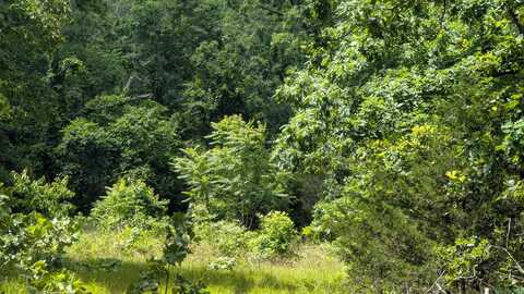 102 Basswood Lane, Horseshoe Bend, AR 72512