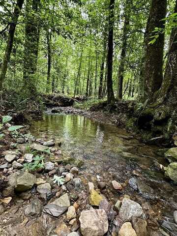 TBD Dream Lane, Wickes, AR 71973