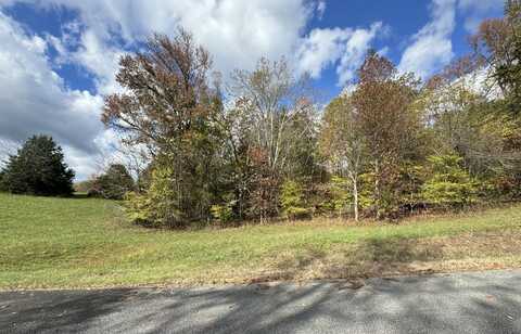 00 Goodfield Terrace, Decatur, TN 37322