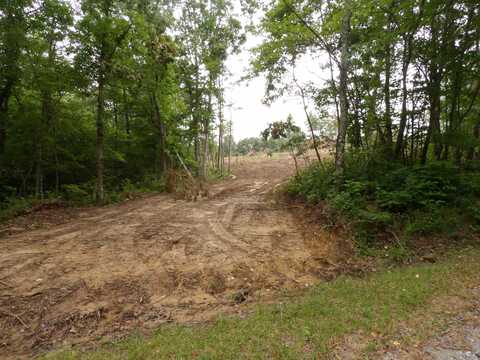 06 Hughes Cemetery Road, Evensville, TN 37332