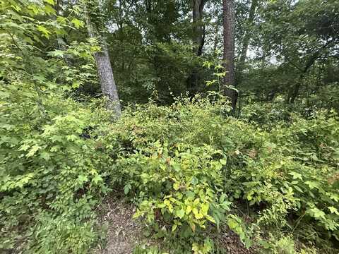 0 Morrison Lane, Ringgold, GA 30736