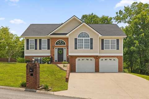 236 Stanford Drive, Flintstone, GA 30725