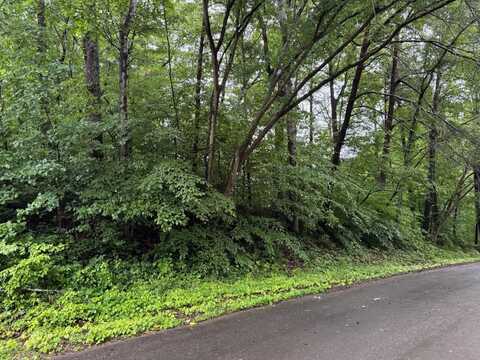 0 Logan Drive, Flintstone, GA 30725