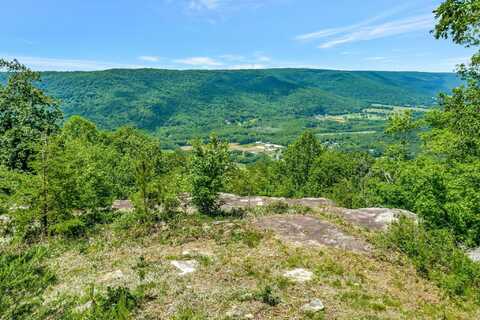 225 Bobcat Trail, Jasper, TN 37347