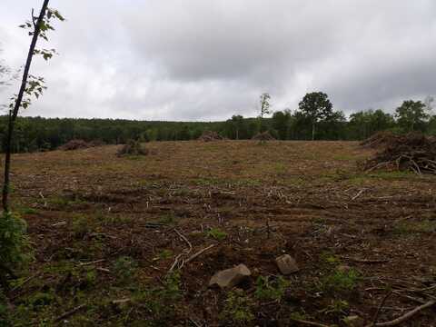 Lot 8 Hughes Cemetery Road, Evensville, TN 37332