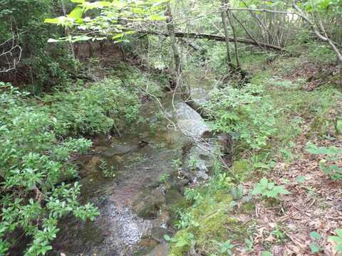 Lot 9 Hughes Cemetery Road, Evensville, TN 37332