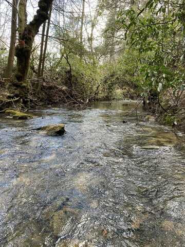 0 Lone Wolf Trail, Spencer, TN 38585