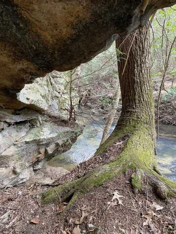 0 Lone Wolf Trail, Spencer, TN 38585