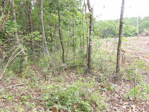 Lot 7 Hughes Cemetery Road, Evensville, TN 37332