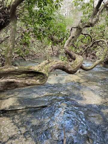 0 Lone Wolf Trail, Spencer, TN 38585