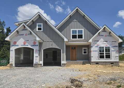 10589 Brownspring Drive, Apison, TN 37302