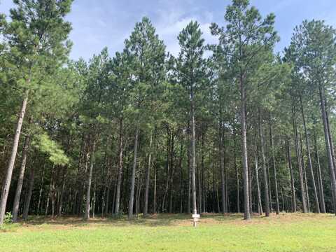 350 Crockett Loop, Jasper, TN 37347