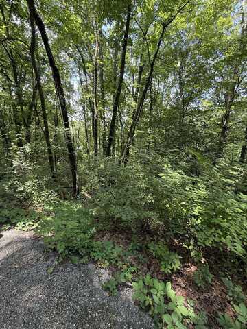 0 Wheeler Avenue, Chattanooga, TN 37404