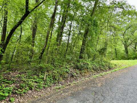 Lot 25 Omega Drive, Whitwell, TN 37397
