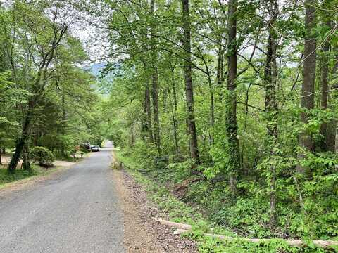 Omega Drive lot: 21, Whitwell, TN 37397