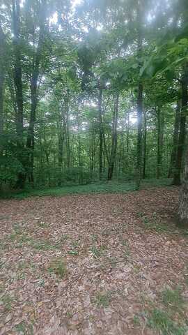 665 Scott Road, Signal Mountain, TN 37377