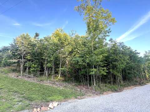0 Salolee Circle, South Pittsburg, TN 37380