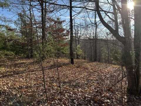 0 Log Cabin Lane, Dunlap, TN 37327
