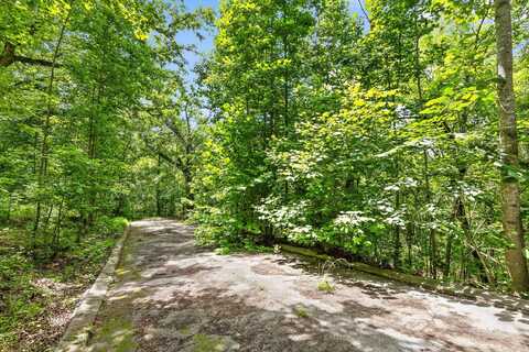 0 Cloud 9 Lane, Flintstone, GA 30725