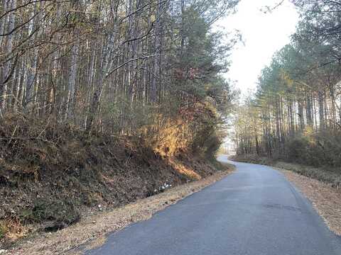 1637 Billingsley Road, Soddy Daisy, TN 37379