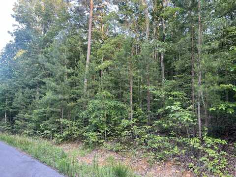 0 Wohalie Lane, South Pittsburg, TN 37380