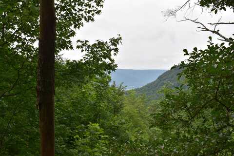 0 Pine Knot Pass, Jasper, TN 37347