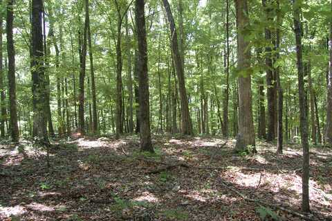 300 Canaan Lane, Rising Fawn, GA 30738