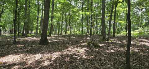 300 Canaan Lane, Rising Fawn, GA 30738